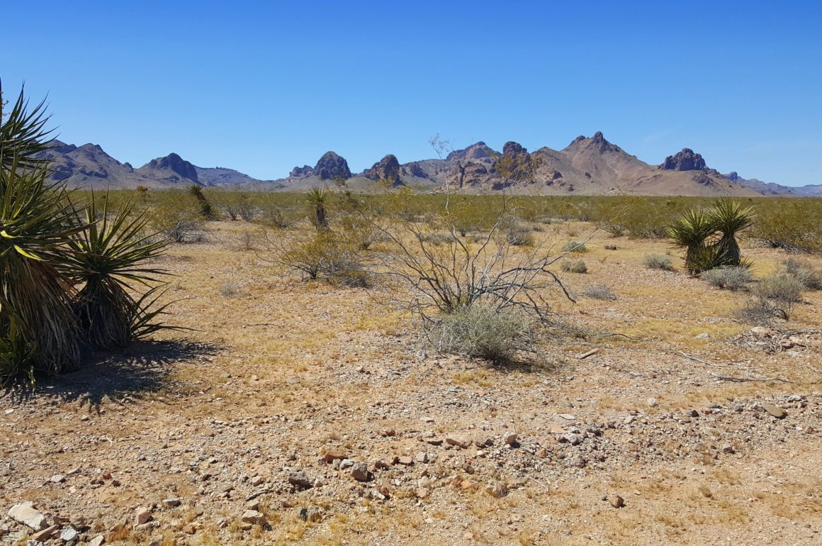 Land for Sale Arizona
