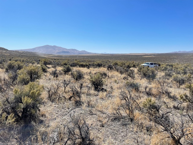 Land for Sale Nevada