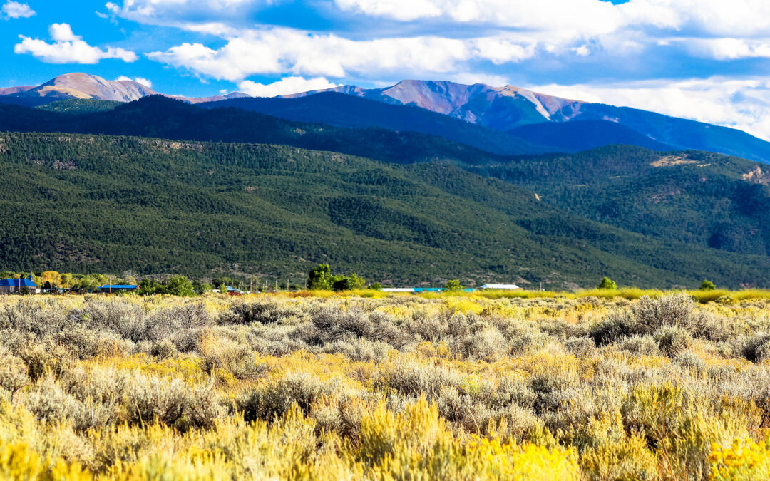 Sangre de Cristo Ranches: Costilla County, Colorado