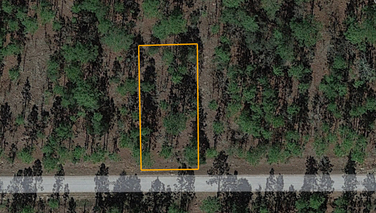 Land for Sale Florida Land for Sale Florida