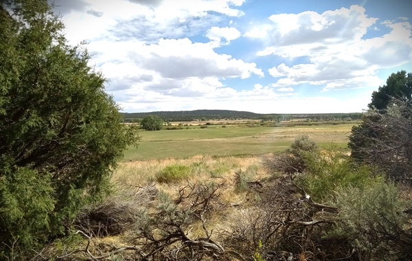 e24l and costilla county land for sale