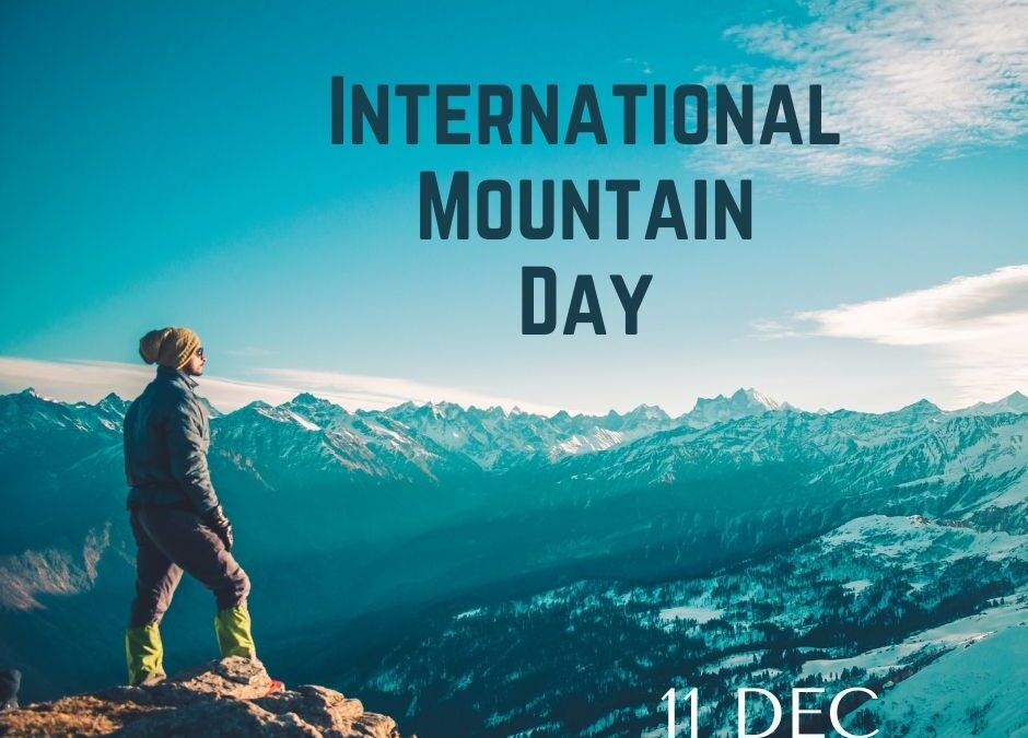 International Mountain Day Roundup